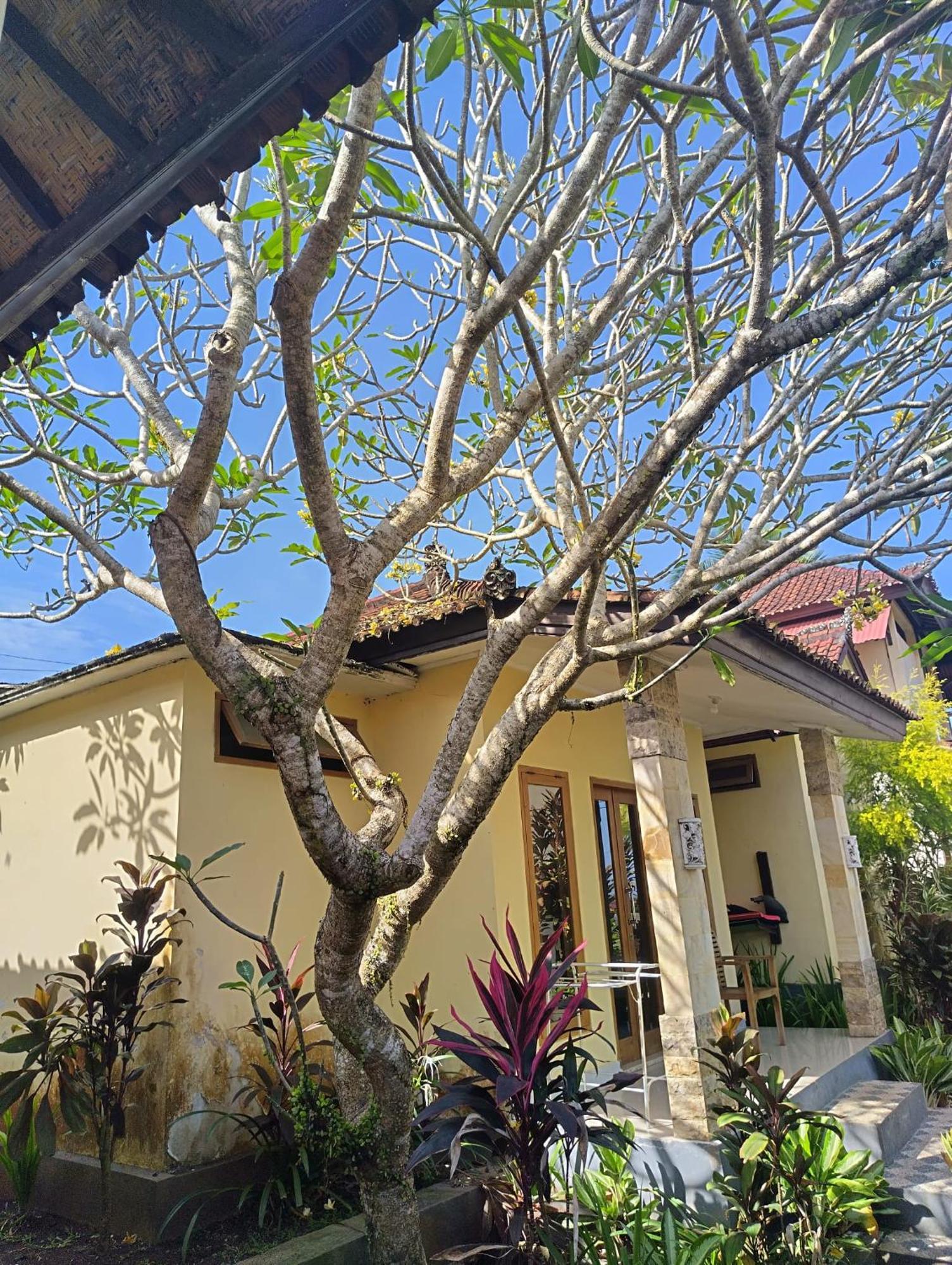 Kirra'S Beach House Pulukan Luaran gambar